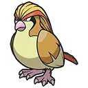 ピジョット
