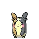 モルペコ